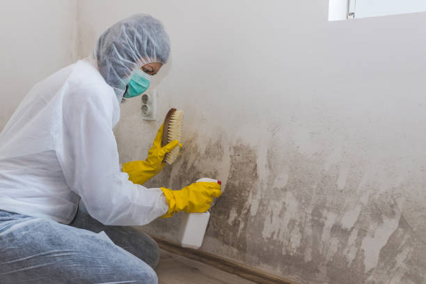 Best Office Mold Removal Services  in Redmond, OR