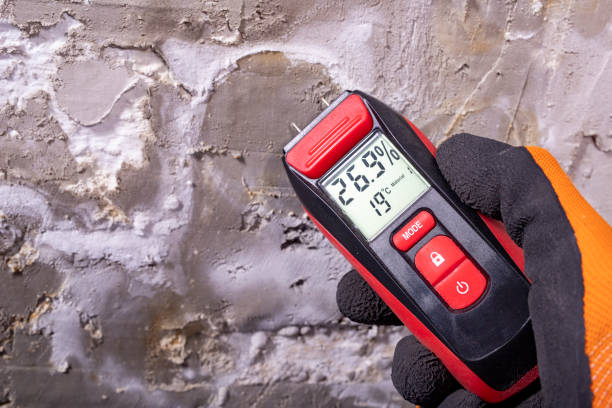 Best Mold Testing  in Redmond, OR