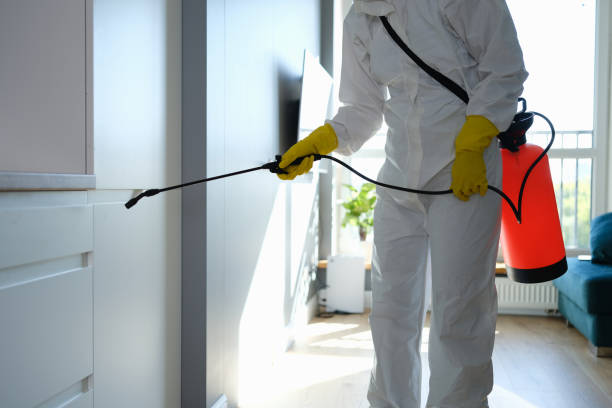 Best Mold Remediation Services  in Redmond, OR