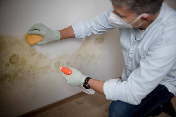 Professional Mold Removal in Redmond, OR