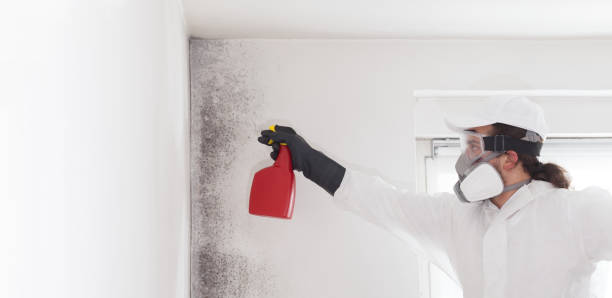 Best Emergency Mold Removal  in Redmond, OR