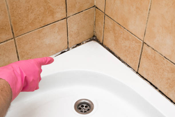 Best Mold Remediation  in Redmond, OR